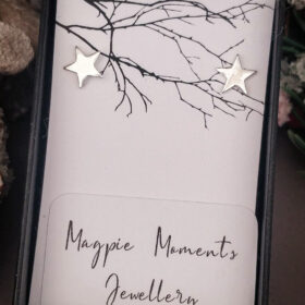 Small Star Earring Studs